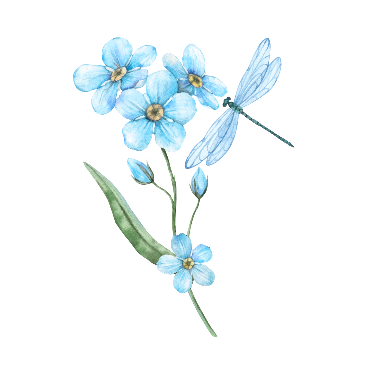 Dementia Resources
